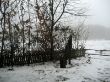 IMG_0516.JPG