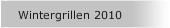 Wintergrillen 2010