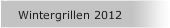 Wintergrillen 2012