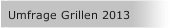 Umfrage Grillen 2013