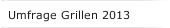 Umfrage Grillen 2013