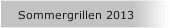 Sommergrillen 2013